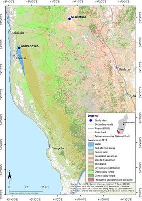 Anthropogenic Disturbance Impacts Gut Microbiome Homeostasis in a Malagasy Primate